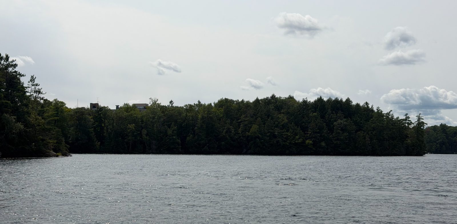 Treeline above the waterline